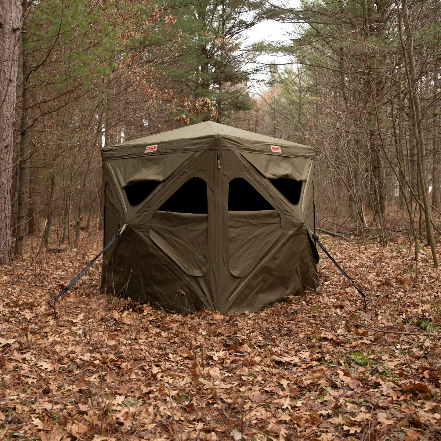CAGE® Blind (Previous Model)